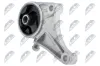 Lagerung, Motor vorne NTY ZPS-PL-032 Bild Lagerung, Motor vorne NTY ZPS-PL-032