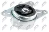 Lagerung, Motor links NTY ZPS-PL-075 Bild Lagerung, Motor links NTY ZPS-PL-075