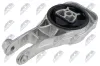 Lagerung, Motor hinten NTY ZPS-PL-079 Bild Lagerung, Motor hinten NTY ZPS-PL-079