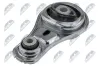 Lagerung, Motor unten vorne NTY ZPS-PL-088 Bild Lagerung, Motor unten vorne NTY ZPS-PL-088
