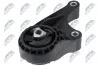 Lagerung, Motor vorne NTY ZPS-PL-090 Bild Lagerung, Motor vorne NTY ZPS-PL-090