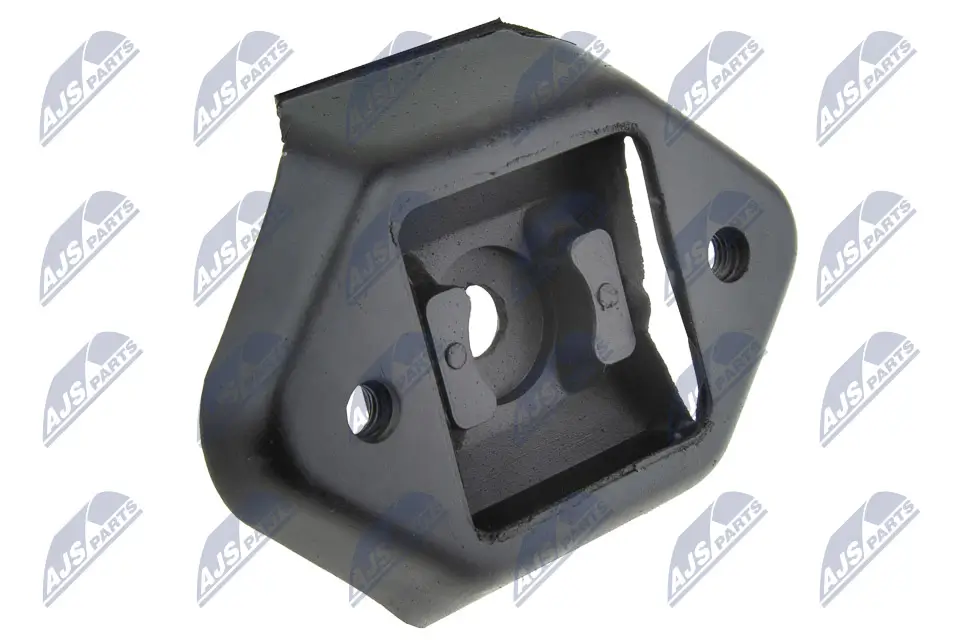 Lagerung, Motor hinten NTY ZPS-SU-009