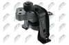 Lagerung, Motor vorne rechts NTY ZPS-TY-041
