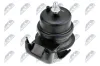 Lagerung, Motor vorne links vorne rechts NTY ZPS-TY-140 Bild Lagerung, Motor vorne links vorne rechts NTY ZPS-TY-140