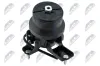 Lagerung, Motor vorne NTY ZPS-TY-157 Bild Lagerung, Motor vorne NTY ZPS-TY-157