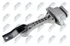 Lagerung, Motor hinten NTY ZPS-VW-004 Bild Lagerung, Motor hinten NTY ZPS-VW-004