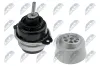 Lagerung, Motor beidseitig NTY ZPS-WW-042 Bild Lagerung, Motor beidseitig NTY ZPS-WW-042