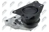 Lagerung, Motor rechts NTY ZPS-WW-081 Bild Lagerung, Motor rechts NTY ZPS-WW-081