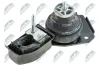 Lagerung, Motor vorne rechts NTY ZPS-WW-083 Bild Lagerung, Motor vorne rechts NTY ZPS-WW-083