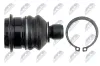 Trag-/Führungsgelenk Vorderachse unten NTY ZSD-DW-059 Bild Trag-/Führungsgelenk Vorderachse unten NTY ZSD-DW-059