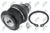 Trag-/Führungsgelenk Vorderachse unten NTY ZSD-NS-019 Bild Trag-/Führungsgelenk Vorderachse unten NTY ZSD-NS-019