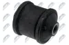 Lagerung, Lenker Hinterachse unten hinten NTY ZTT-MS-014D