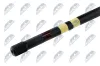 Stiftschraube, Drehstab Hinterachse rechts NTY ZWT-CT-014 Bild Stiftschraube, Drehstab Hinterachse rechts NTY ZWT-CT-014