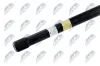 Stiftschraube, Drehstab Hinterachse vorne NTY ZWT-CT-015 Bild Stiftschraube, Drehstab Hinterachse vorne NTY ZWT-CT-015