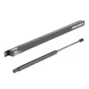 Gasfeder, Koffer-/Laderaum beidseitig RIDEX 219G0838