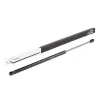 Gasfeder, Koffer-/Laderaum beidseitig hinten RIDEX 219G0423 Bild Gasfeder, Koffer-/Laderaum beidseitig hinten RIDEX 219G0423