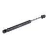 Gasfeder, Koffer-/Laderaum beidseitig RIDEX 219G0028 Bild Gasfeder, Koffer-/Laderaum beidseitig RIDEX 219G0028