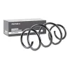 Fahrwerksfeder Vorderachse RIDEX 188C0251 Bild Fahrwerksfeder Vorderachse RIDEX 188C0251