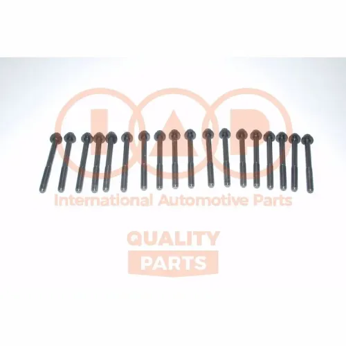Zylinderkopfschraubensatz IAP QUALITY PARTS 119-13031 Bild Zylinderkopfschraubensatz IAP QUALITY PARTS 119-13031
