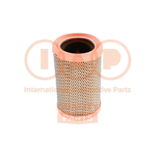 Luftfilter IAP QUALITY PARTS 121-13165 Bild Luftfilter IAP QUALITY PARTS 121-13165
