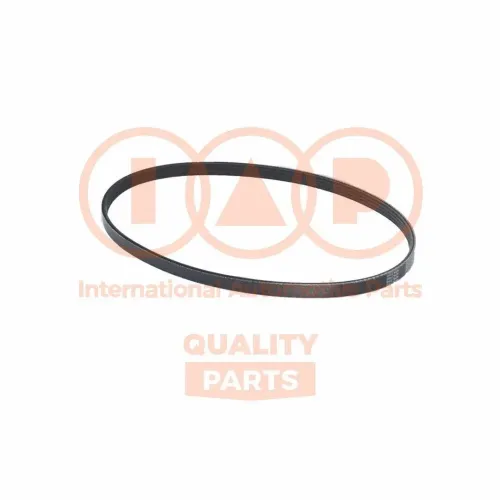 Keilrippenriemen IAP QUALITY PARTS 140-16050 Bild Keilrippenriemen IAP QUALITY PARTS 140-16050