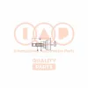 Gelenksatz, Antriebswelle Vorderachse links Vorderachse rechts IAP QUALITY PARTS 406-17070 Bild Gelenksatz, Antriebswelle Vorderachse links Vorderachse rechts IAP QUALITY PARTS 406-17070