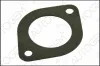 Dichtung, Abgasrohr AUTOGEM CEG228