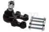 Trag-/Führungsgelenk Vorderachse unten SPIDAN CHASSIS PARTS 58568
