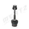 Stange/Strebe, Stabilisator Vorderachse links Vorderachse rechts MERTZ M-S0335 Bild Stange/Strebe, Stabilisator Vorderachse links Vorderachse rechts MERTZ M-S0335