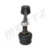 Stange/Strebe, Stabilisator Vorderachse links Vorderachse rechts MERTZ M-S1224 Bild Stange/Strebe, Stabilisator Vorderachse links Vorderachse rechts MERTZ M-S1224