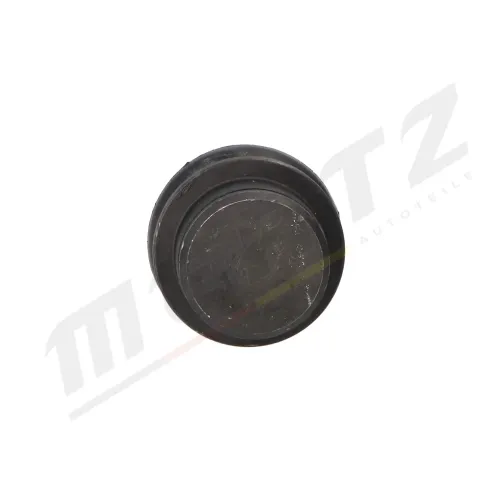 Trag-/Führungsgelenk Vorderachse links Vorderachse rechts MERTZ M-S2156 Bild Trag-/Führungsgelenk Vorderachse links Vorderachse rechts MERTZ M-S2156