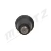 Spurstangenkopf Vorderachse beidseitig MERTZ M-S2597 Bild Spurstangenkopf Vorderachse beidseitig MERTZ M-S2597