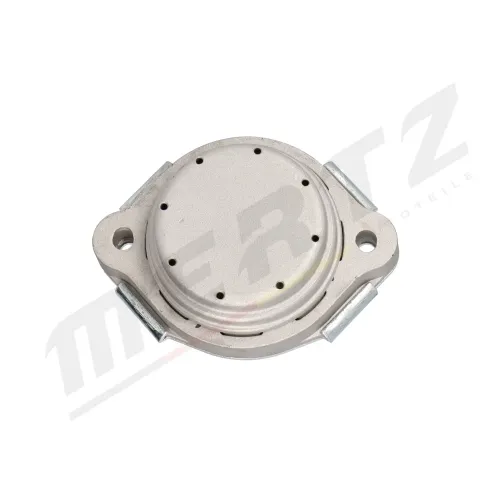 Lagerung, Motor rechts MERTZ M-S4956 Bild Lagerung, Motor rechts MERTZ M-S4956