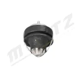 Lagerung, Motor Mitte MERTZ M-S5308