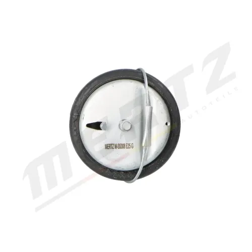 Lagerung, Motor Mitte MERTZ M-S5308 Bild Lagerung, Motor Mitte MERTZ M-S5308