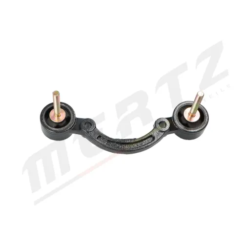 Lagerung, Differential Hinterachse MERTZ M-S5557 Bild Lagerung, Differential Hinterachse MERTZ M-S5557