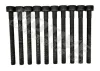 Zylinderkopfschraubensatz MOTIVE HB8139SET Bild Zylinderkopfschraubensatz MOTIVE HB8139SET
