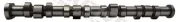 Nockenwelle Auslassseite Einlassseite MOTIVE T2129