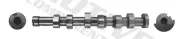 Nockenwelle MOTIVE T2186