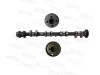 Nockenwelle MOTIVE T4561