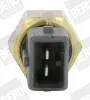 Sensor, Kühlmitteltemperatur BERU by DRiV ST256 Bild Sensor, Kühlmitteltemperatur BERU by DRiV ST256