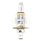 Glühlampe, Hauptscheinwerfer 12 V 55 W H1 NAPA NBU1448