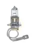 Glühlampe, Hauptscheinwerfer 12 V 55 W H3 NAPA NBU1453 Bild Glühlampe, Hauptscheinwerfer 12 V 55 W H3 NAPA NBU1453