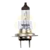 Gl&uuml;hlampe, Hauptscheinwerfer 12 V 55 W H7 NAPA NBU1477