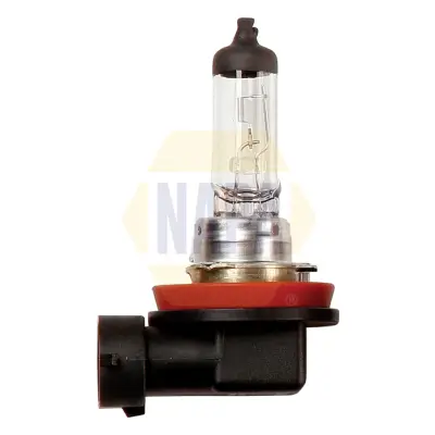 Glühlampe, Hauptscheinwerfer 12 V 35 W H8 NAPA NBU1708