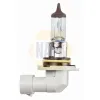 Gl&uuml;hlampe, Hauptscheinwerfer 12 V 51 W NAPA NBU19006