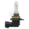 Gl&uuml;hlampe, Hauptscheinwerfer 12 V 55/15 W HIR2 NAPA NBU19012