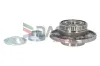 Radlagersatz Vorderachse DACO Germany 110300 Bild Radlagersatz Vorderachse DACO Germany 110300
