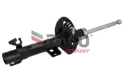 Stoßdämpfer Vorderachse DACO Germany 454204