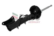Stoßdämpfer Hinterachse DACO Germany 550101